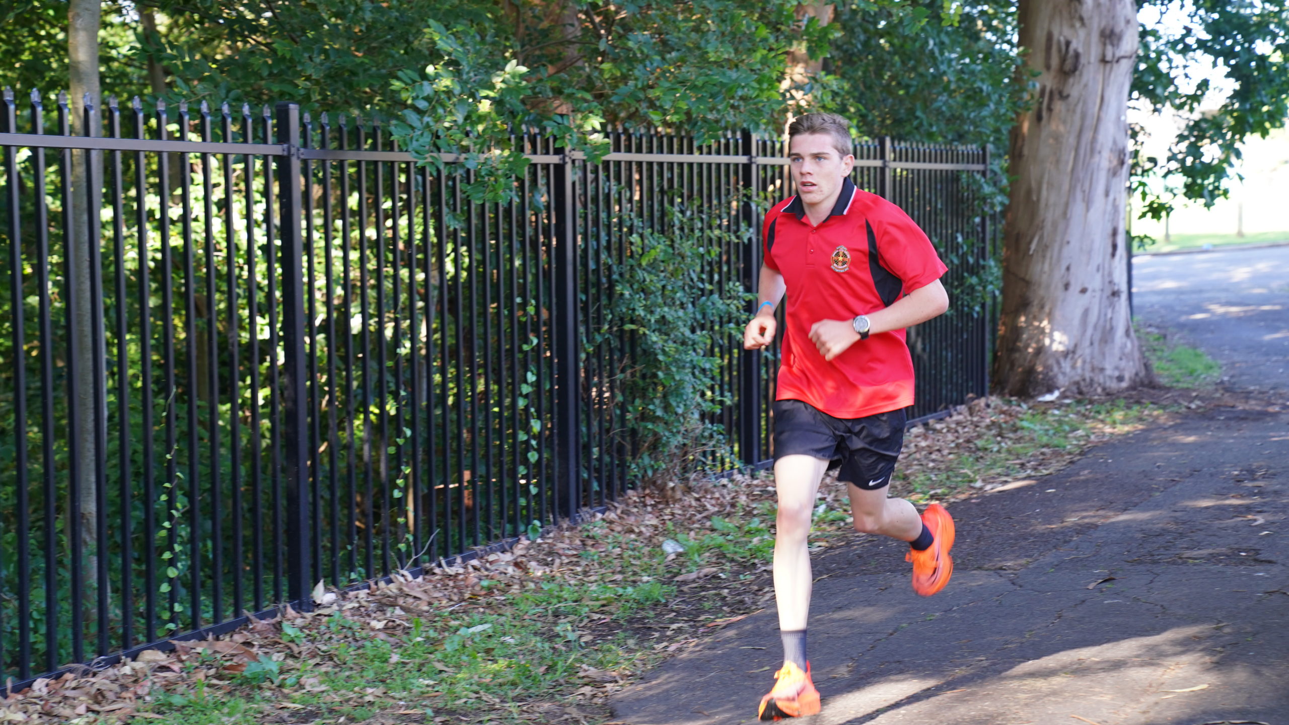 NSW All Schools Cross Country Edmund Rice College